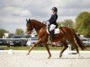 dressage horse Zampano (German Sport Horse, 2015, from Zansibar)