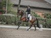 dressage horse Sir Ben (Trakehner, 2021, from Schwarzgold)