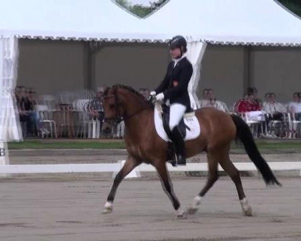 Westfalen-Woche 2012 Münster Handorf