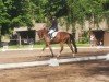 jumper Color LK (German Sport Horse, 2016, from Carleyle)