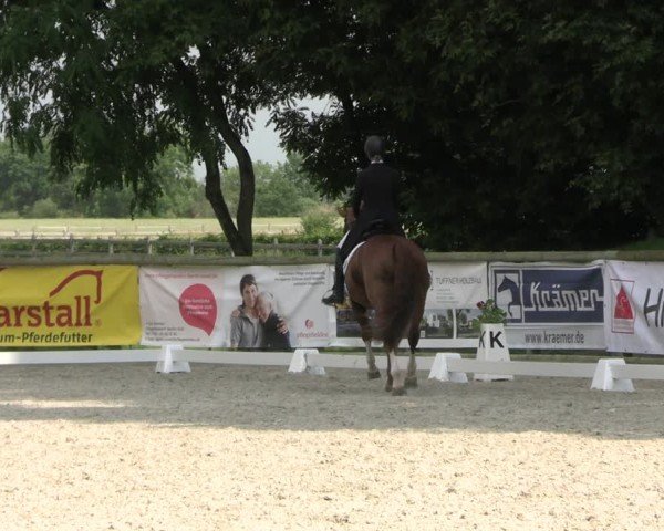 Reitturnier Ruhlsdorf 2024