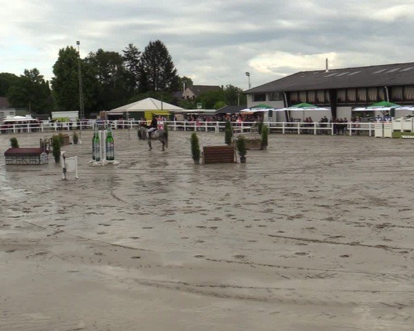 Reitturnier Dortmund-Somborn 2024