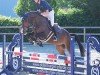 jumper Chackmate 3 (Oldenburg show jumper, 2018, from Chacfly PS)