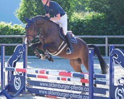 jumper Chackmate 3 (Oldenburg show jumper, 2018, from Chacfly PS)