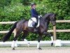 dressage horse Florentino Royal (Oldenburg, 2019, from For Romance II)