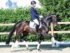 dressage horse For Fantasy Hr (Oldenburg, 2019, from For Romance I)