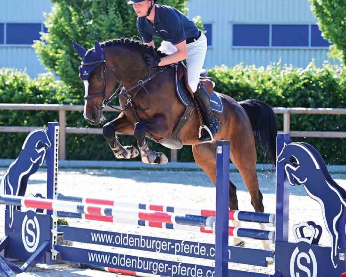 Springpferd Benita (Oldenburger Springpferd, 2020, von Baggio 17)