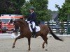 dressage horse Fredy (Oldenburg, 2013, from For Romance I)