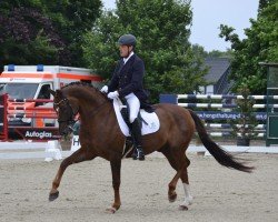 dressage horse Fredy (Oldenburg, 2013, from For Romance I)