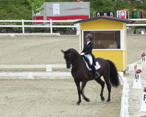 FEI Reitturnier St. Margarethen 2024