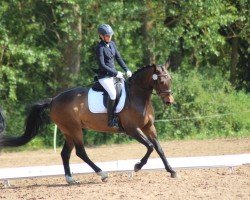 dressage horse Felicia (German Warmblood, 2012, from French Affair O)