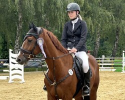 jumper Chesnut Pride (Bavarian, 2009, from Calido I)