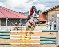 jumper Dulce de Leche (German Riding Pony, 2018, from Dexter Leam Pondi)