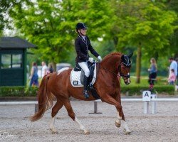 dressage horse Fleur de Jolie (Westphalian, 2016, from Floribot)