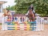 jumper Ruskabus (Belgian Warmblood, 2017, from Vagabond de la Pomme)