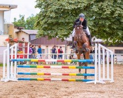 Springpferd Ruskabus (Belgisches Warmblut, 2017, von Vagabond de la Pomme)