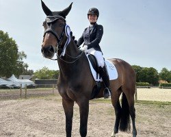 dressage horse Brilliant Rose R (Hanoverian, 2015, from Belissimo NRW)