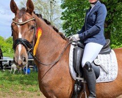 dressage horse Ballentyne (Oldenburg, 2020, from Callaho's Benicio)