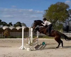 jumper Kind of Love (Hungarian Warmblood, 2000)