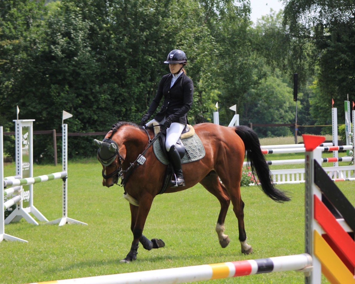 jumper Confetti 60 (Hanoverian, 2018, from Clinton's Heart)