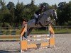 jumper Bambam KH (German Sport Horse, 2016, from Balou du Rouet)