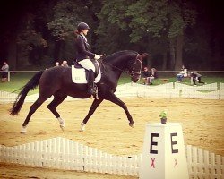 dressage horse Luis Lennox 2 (German Sport Horse, 2010, from Laspari)