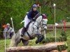 jumper Cesparo (German Sport Horse, 2017, from Cuidam)