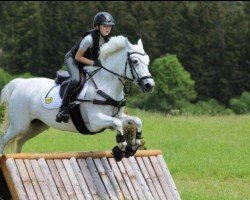 jumper Starlight Comet (Connemara Pony, 2012)