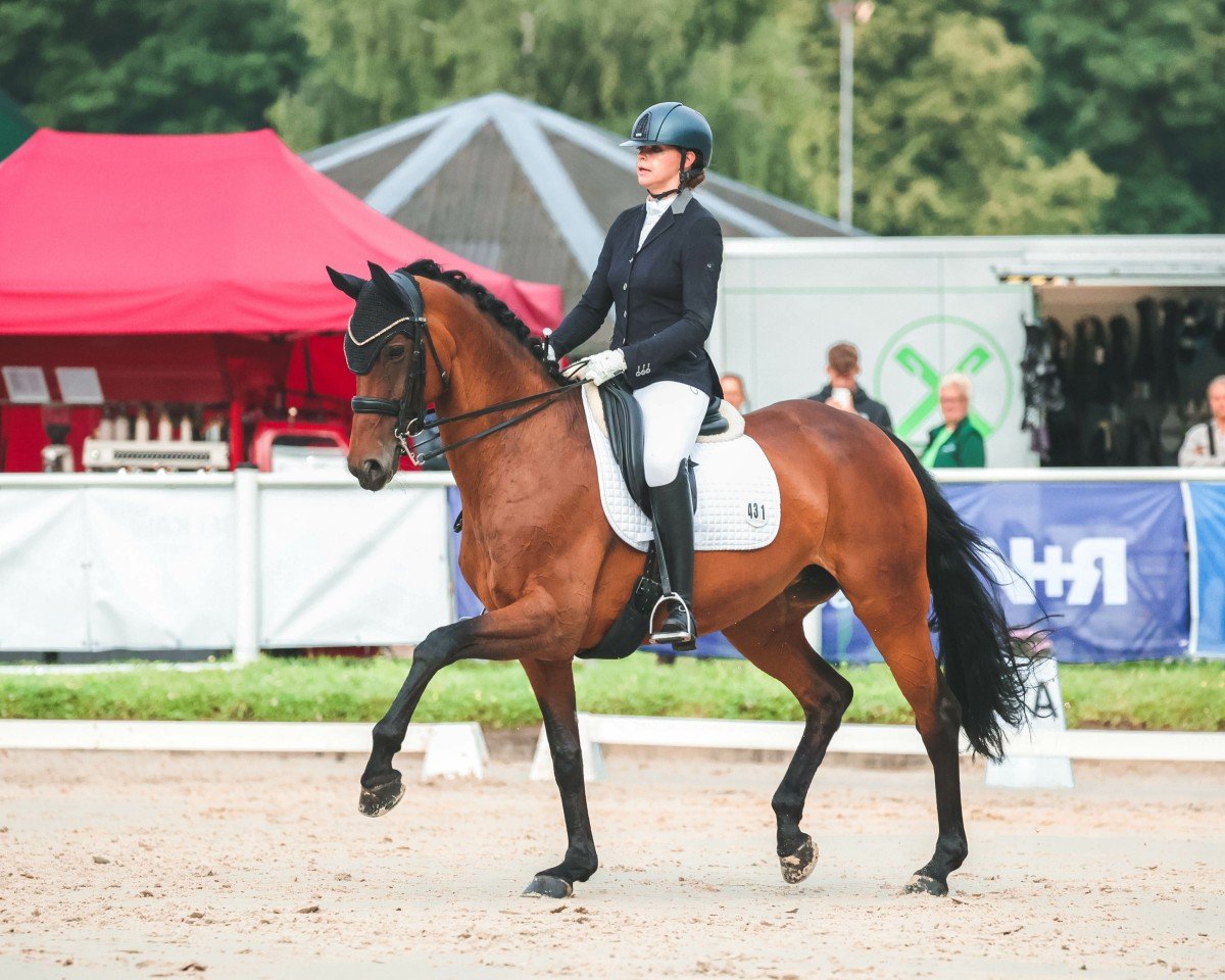 broodmare Nicolina 9 (Oldenburg, 2010, from Blue Hors Romanov)