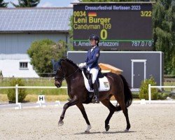 dressage horse Candyman 109 (German Riding Pony, 2005, from Charm of Nibelungen)