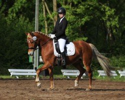 dressage horse Prinzessin Kamira (German Riding Pony, 2017, from Dynamic Star)