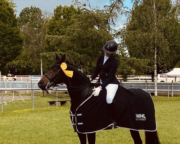 dressage horse Rhonda 22 (Bavarian, 2012, from Decamerone 5)