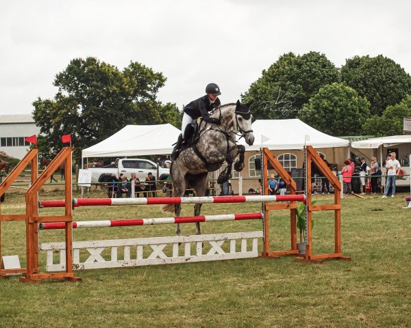jumper Helix 13 (German Sport Horse, 2017, from Hickstead White)