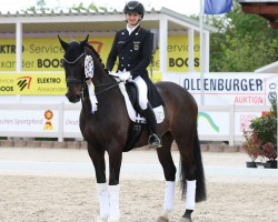 dressage horse Soul Men (Hanoverian, 2010, from Soliman)