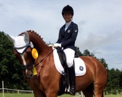 dressage horse Santiamo P (Trakehner, 2009, from Freudenfest)