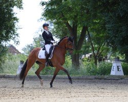 dressage horse Rock's Princess (Hanoverian, 2019, from Rock Forever NRW)