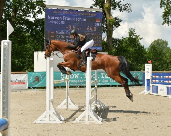 Springpferd Lollypop (KWPN (Niederländisches Warmblut), 2016, von Golddigger)