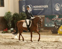 dressage horse Schierensees Caleo (German Riding Pony, 2017, from Charlie Brown)