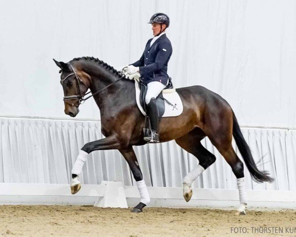 dressage horse Flu (Hanoverian, 2020, from Fusionist)