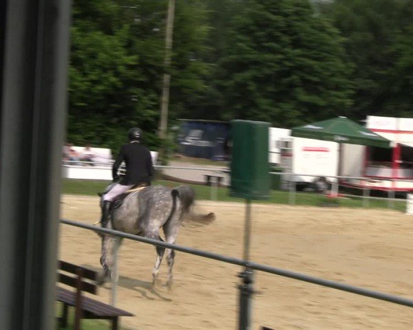 Reitturnier Oelde 2024