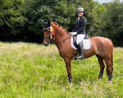 dressage horse With My Pia (Alt-Oldenburger / Ostfriesen, 2007, from Wilhelm Tell)