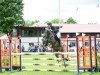 jumper Catch me if you can 60 (German Sport Horse, 2018, from Catch)