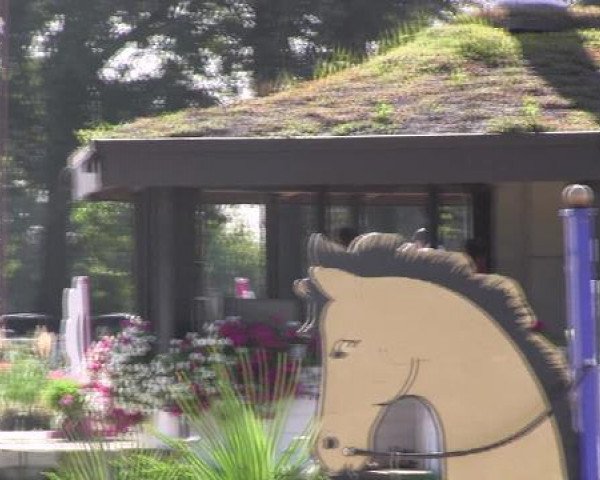 Datteln 2012