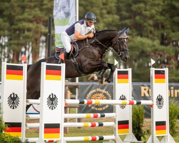 stallion Kanbalou (Zangersheide riding horse, 2016, from Kannan)