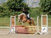 jumper Amicelli 17 (Haflinger, 2020)