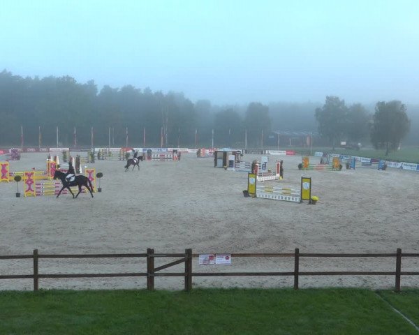 Reitturnier Westergellersen 2021