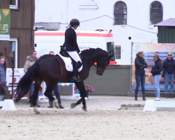 Reitturnier Sörup 2024