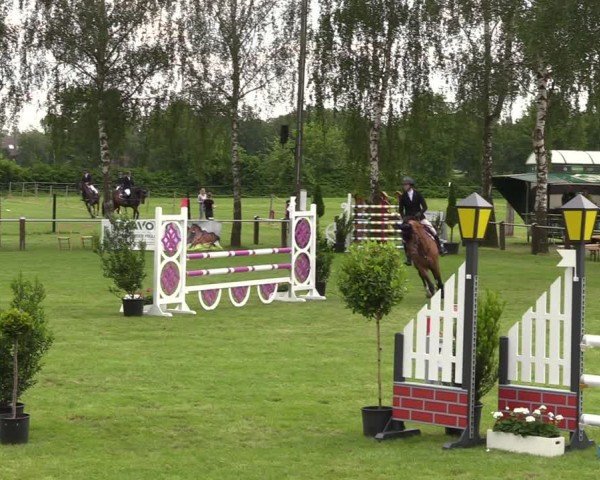 Reitturnier Hille 2024