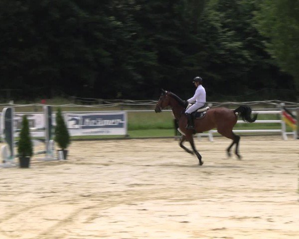Reitturnier Oelde 2024
