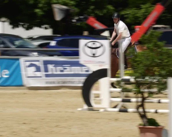Reitturnier Winnenden 2024